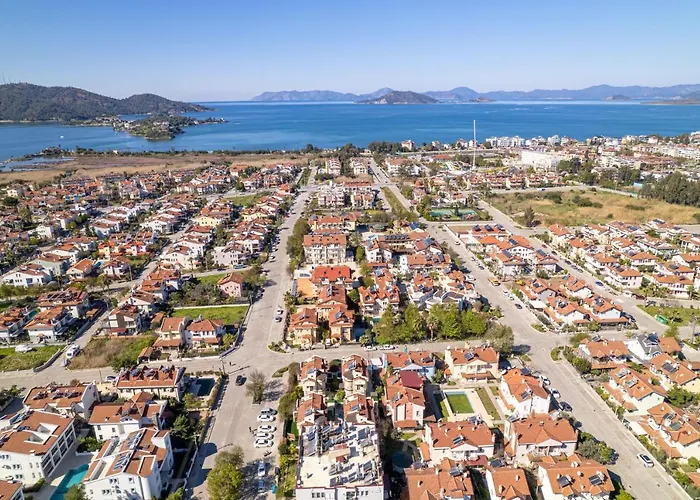 Gelincik * Fethiye